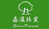 嘉漢林業(yè).png